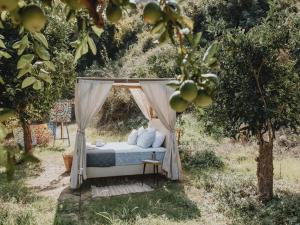 Zahrada ubytování Star Sleep Vryses -Orange Grove