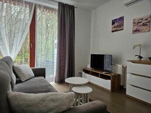a living room with a couch and a tv at Apartamenty Wisełka in Wisełka