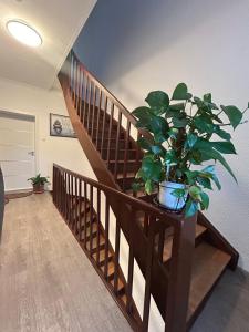 Fotografie z fotogalerie ubytování Ferienwohnung in Gerolstein Zentrum v destinaci Gerolstein