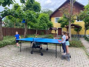 a group of people standing around a ping pong table at Domeniul Paradisului Relax&Fun in Şmig