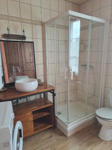 a bathroom with a shower and a sink and a toilet at Gîte l'escapade in Crozant +19 photos
