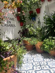 Ảnh trong thư viện ảnh của La Cuadrita ở Casares