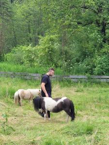 Gallery image of Ferienwohnung Silvia in Sankt Kanzian
