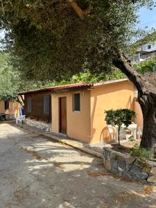 a small yellow house with a tree next to it at Villa Incanto B&B in Caprioli