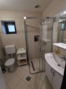 a bathroom with a shower and a toilet and a sink at Apartment Milka in Korenica