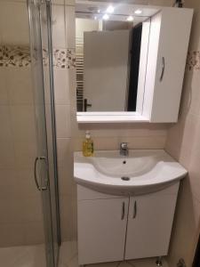 a bathroom with a white sink and a shower at Apartment Milka in Korenica +36 photos