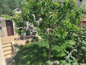 a tree in a yard next to a house at Apartments Mia in Okrug Gornji