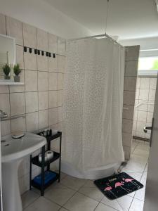 Ένα μπάνιο στο Apartmani EMA Novska +11 φωτογραφίες