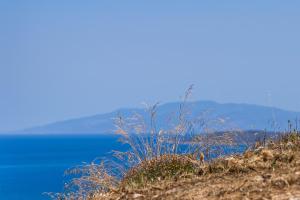 a grassy hill with the ocean in the background at Lagadia Village in Antiparos