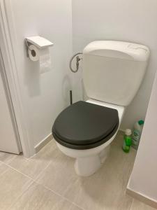 Appartement ALBIGNY Centre Lac Annecy的一间浴室