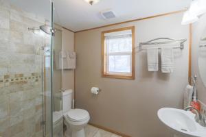 a bathroom with a toilet and a sink and a shower at Spruce Cabin in Talkeetna