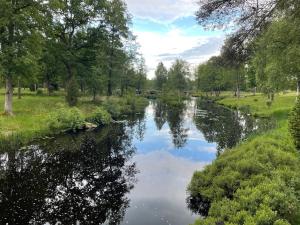 a river in a park with trees and grass at Calm and private country side property with own waterfront by large river in Strömmarna