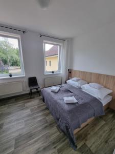 Postel nebo postele na pokoji v ubytování Penzion Brothers U Koňa