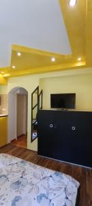 TV i/ili multimedijalni sistem u objektu Hostel Ruler