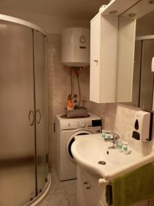 a bathroom with a sink and a washing machine at Apartments Vretenar in Novigrad Istria +36 photos