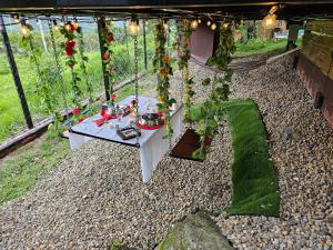 Zahrada ubytování Oasis Glamping Tena Cun Vía La Mesa Anapoima
