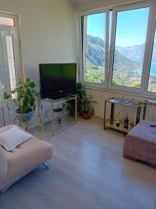 Apartments Vidikovac Inn في كوتور: غرفة معيشة مع تلفزيون بشاشة مسطحة ونوافذ