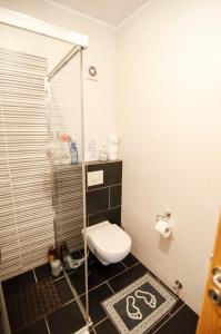 a bathroom with a toilet and a shower at Apartments Iva in Tivat