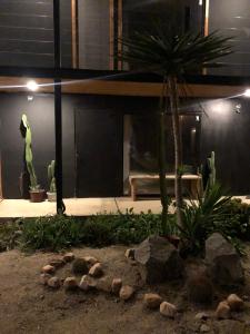 Zahrada ubytování Chagual Los Vilos Lodging