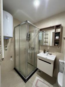 uma casa de banho com um chuveiro e um lavatório. em Lux apartment 8, center, free parking em Niš