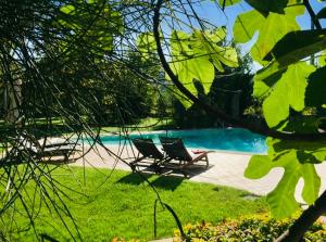 two chairs sitting next to a swimming pool at La Taverna Fra Le Colline in Arezzo