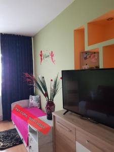 TV a/nebo společenská místnost v ubytování Garsoniera Relax + 7 fotografií
