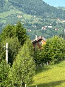 a house on the side of a hill with trees at Chalet Ro in Peştera