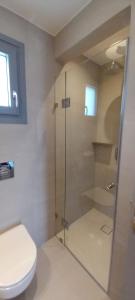 ein Bad mit einer Dusche und einem WC in der Unterkunft Kostas & Joanna Studios in Logaras