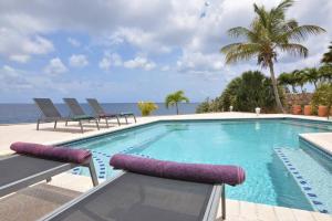 a swimming pool with a view of the ocean at Kas Berde Kanti Laman in Kralendijk +7 photos