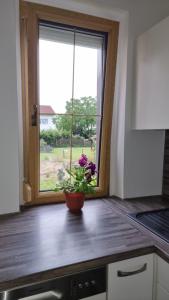 Eldhús eða eldhúskrókur á 3- Zimmer-Wohnung in Linz Leonding