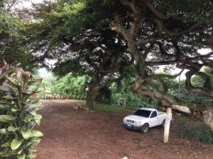 Afbeelding uit fotogalerij van San Antonio Hotel Boutique in Los Naranjos