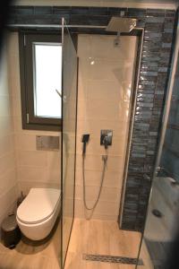 a bathroom with a toilet and a glass shower at The Thassian Yard Houses in Prinos