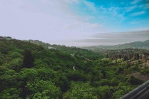 Billede fra billedgalleriet på Hotel Natal Palace i Chakvi