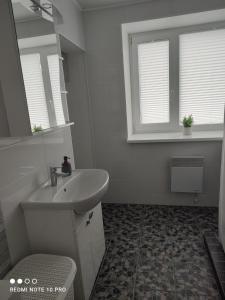 Koupelna v ubytování Loksahome apartments
