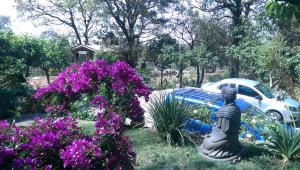 a statue in a yard with purple flowers at Acogedor Bungalow en medio del bosque de Tepoztlan in Tlacotenco