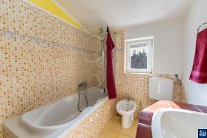 Vannituba majutusasutuses Apartman Iva +31 fotot
