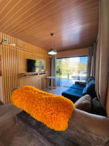 a living room with a couch and a large orange rug at Chácara de lazer Mandirituba in Rio da Várzea