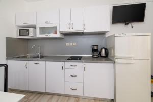 Kuchyňa alebo kuchynka v ubytovaní Apartments Ruzica F
