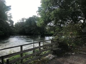 Afbeelding uit fotogalerij van Charmant Moulin Spa in Montbazon +60 foto's