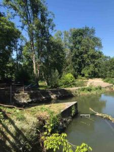 Afbeelding uit fotogalerij van Charmant Moulin Spa in Montbazon