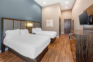 Postel nebo postele na pokoji v ubytování Best Western Plus Pflugerville Inn & Suites
