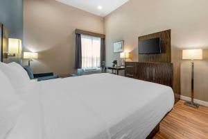 Postel nebo postele na pokoji v ubytování Best Western Plus Pflugerville Inn & Suites