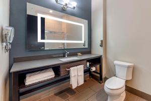 Koupelna v ubytování Best Western Plus Pflugerville Inn & Suites