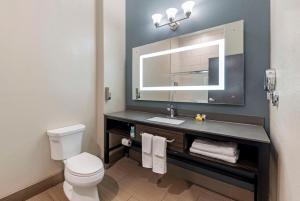 Koupelna v ubytování Best Western Plus Pflugerville Inn & Suites