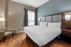 Postel nebo postele na pokoji v ubytování Best Western Plus Pflugerville Inn & Suites