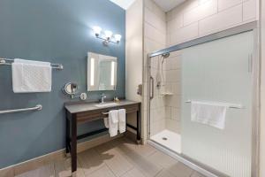 Koupelna v ubytování Best Western Plus Pflugerville Inn & Suites