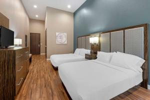 TV a/nebo společenská místnost v ubytování Best Western Plus Pflugerville Inn & Suites