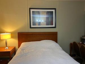 Letto o letti in una camera di Schell Motel