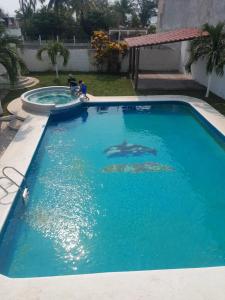 a swimming pool with two dolphins in the water at Villas Yoleth Hotel in Chachalacas