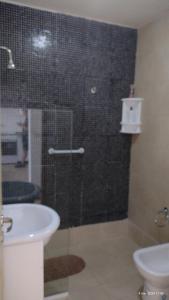 a bathroom with a shower with a sink and a toilet at El Girasol en Portales de Tupungato in Tupungato +15 photos